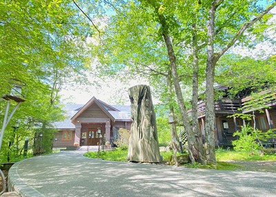 木の温もり溢れる建物の中には夢の世界が待つ