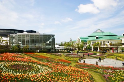 春の花畑にはチューリップが一面に広がる