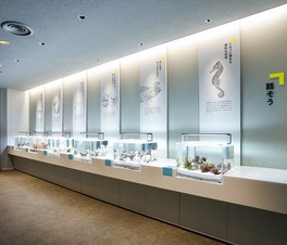 リニューアルした魚類展示エリア「SeaZoo」