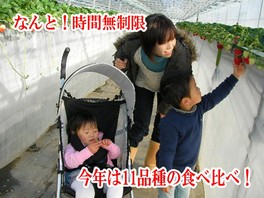 最大4つのビニールハウスを移動できる