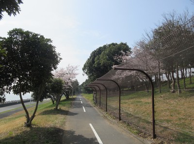 広々とした空の下で海辺散策も楽しめる