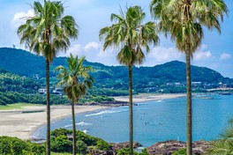 海水浴やサーフィンが楽しめる