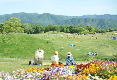 約4haの芝生広場。背景に讃岐山脈が広がる緑豊かなロケーション