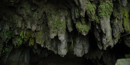 幾数万年にわたりカルスト台地の雨水によってつくられた大鍾乳洞