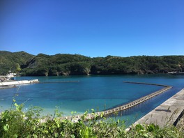 鮫ヶ崎展望台からは海が一望できる