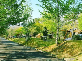 木々に囲まれたキャンプ場