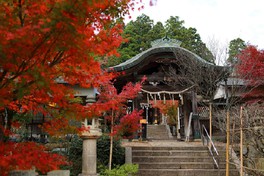 神社の拝殿は敦賀湾を一望できる展望スポットになっている
