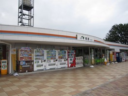 非常に落ち着いた雰囲気の下り線