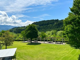 緑に囲まれた開放感のある芝生サイト