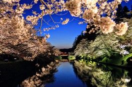お堀沿いに200本の桜が咲き誇る