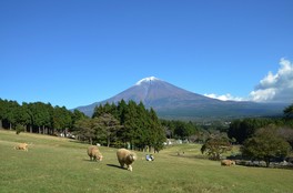富士山を望む雄大な自然