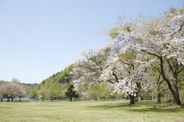 素波里国民休養地内にあるキャンプ場