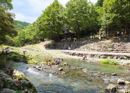 清流のそばにある風光明媚なキャンプ場