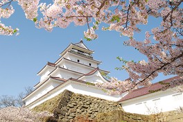 ソメイヨシノを中心にさまざまな品種の桜が城の風情を引き立てる