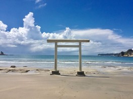 美しい景観が続き散歩だけでも楽しめる海岸