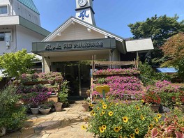 阿蘇の大自然の中に立つ美術館