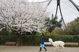 多くの動物を身近に感じられる動物園