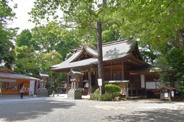 ケヤキの木に囲まれた緑豊かな境内。平塚八景の一つにも数えられている