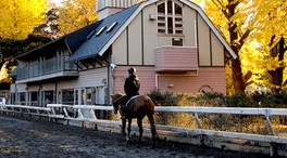 90年以上の歴史を誇る乗馬クラブで乗馬を体験できる