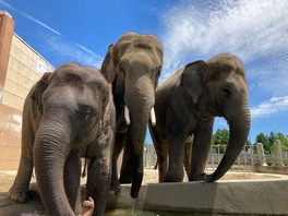動物園では130種類以上の生き物を飼育している