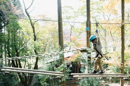 国立公園「志高湖」にフォレストアドベンチャーが2019年にオープン