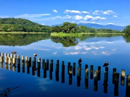 南湖と周囲の自然が織り成す美しい風景が魅力