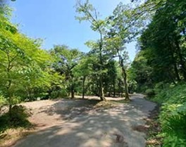 自然と触れ合えるオートサイト
