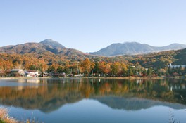 蓼科山などの豊かな風景が湖面に映り込む