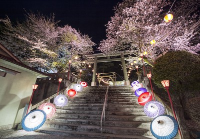 鬼怒川温泉 護国神社の桜 栃木県 の情報 ウォーカープラス