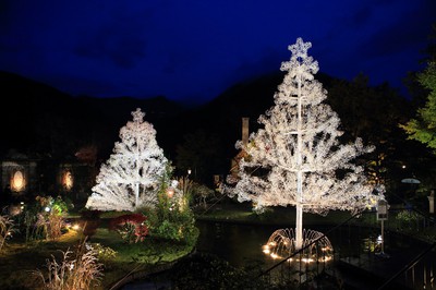 クリスタル イルミネーション 陽光と風に輝くクリスマス 神奈川県 の情報 ウォーカープラス