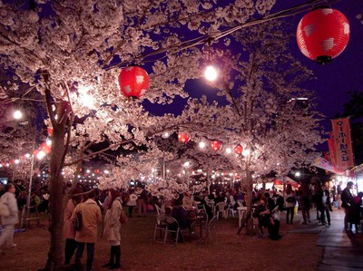 西公園の桜 宮城県 宮城県 の情報 ウォーカープラス