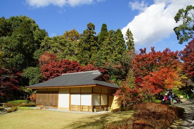 名古屋市東山動植物園の紅葉 愛知県 の情報 ウォーカープラス