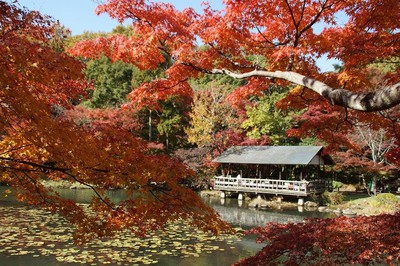 名古屋市東山動植物園の紅葉 愛知県 の情報 ウォーカープラス