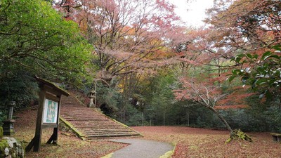 鰐淵寺の紅葉 島根県 の情報 ウォーカープラス