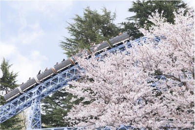 第28回としまえん桜まつり 東京都 の情報 ウォーカープラス