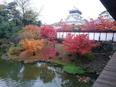 小倉城庭園の紅葉 臨時休館 21年11月6日 22年3月31日 福岡県 の情報 ウォーカープラス