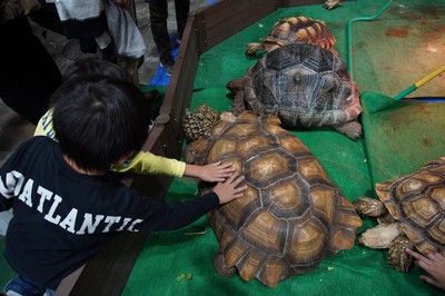 ナゴヤレプタイルズワールド 愛知県 の情報 ウォーカープラス