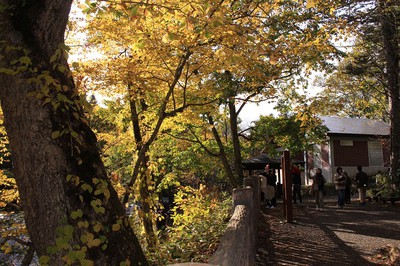 恵庭渓谷の紅葉 北海道 の情報 ウォーカープラス