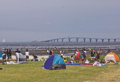 金田みたて海岸潮干狩場 千葉県 の情報 ウォーカープラス