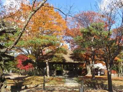 懐古園の紅葉 長野県 の情報 ウォーカープラス