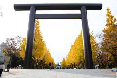 靖国神社の紅葉 東京都 の情報 ウォーカープラス