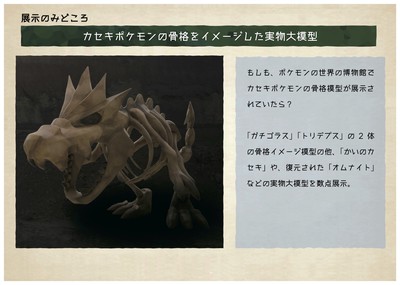 特別企画展 ポケモン化石博物館 東京都 の情報 ウォーカープラス