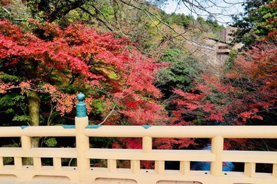 鶴仙渓の紅葉 石川県 の情報 ウォーカープラス