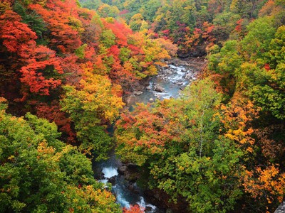 八幡平 松川渓谷 の紅葉 岩手県 の情報 ウォーカープラス