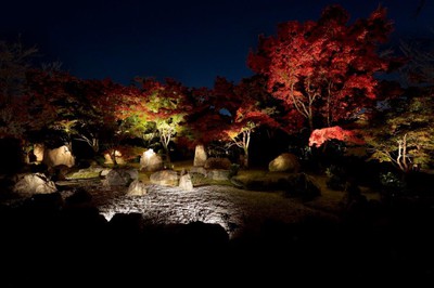 将軍塚青龍殿の紅葉 京都府 の情報 ウォーカープラス