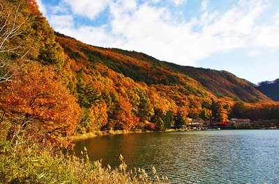 四尾連湖の紅葉 山梨県 の情報 ウォーカープラス