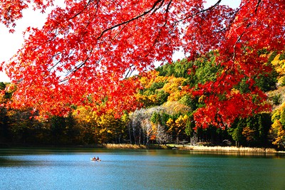 四尾連湖の紅葉 山梨県 の情報 ウォーカープラス