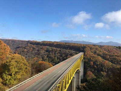 清里高原の紅葉 山梨県 の情報 ウォーカープラス