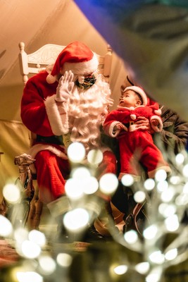 Lantern Night 2022〜空飛ぶクリスマスツリー(京都)(京都府)の情報