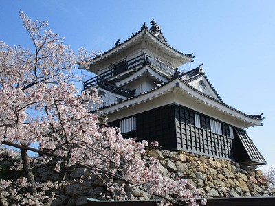 浜松城公園の桜 静岡県 の情報 ウォーカープラス